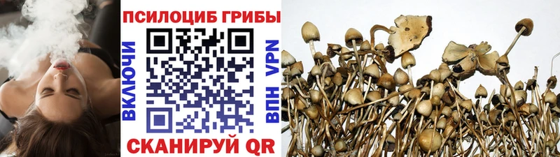 Псилоцибиновые грибы MAGIC MUSHROOMS  Корсаков 